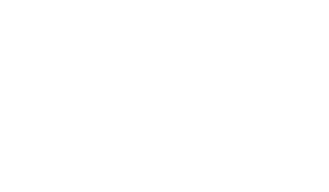 wellport-logo
